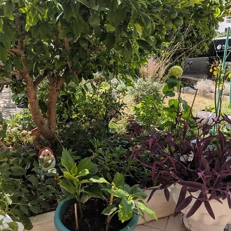 With Parking Space - 18428 아파트